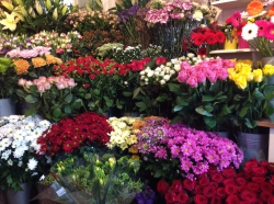 Bella-Fleur Floristry