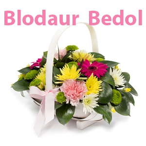 Blodaur Bedol