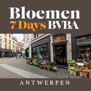 Image of Bloemen 7 days BVBA shop front