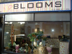 Blooms