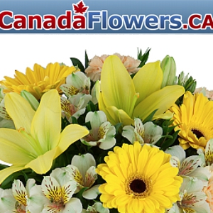 Canada Flowers