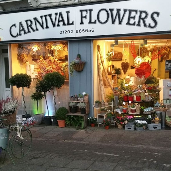 Carnival Flowers