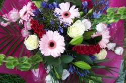 Cindy Annice Floral Designer // REMOVED