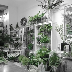 Image of City Flora shop front