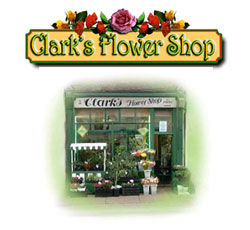 Clarks The Flower Shop // REMOVED