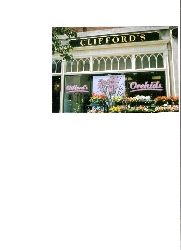 Clifford's JC Flowers Inc