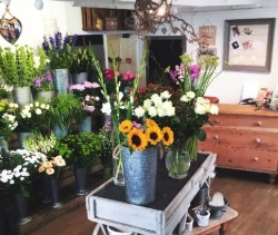 Image of Coates Florist shop front