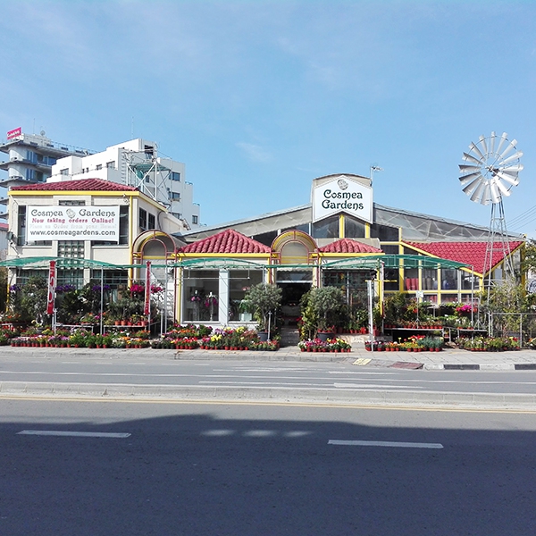Image of Cosmea Gardens ltd shop front