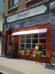 CR Flowers and Gifts