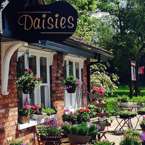 Daisies Floral Design