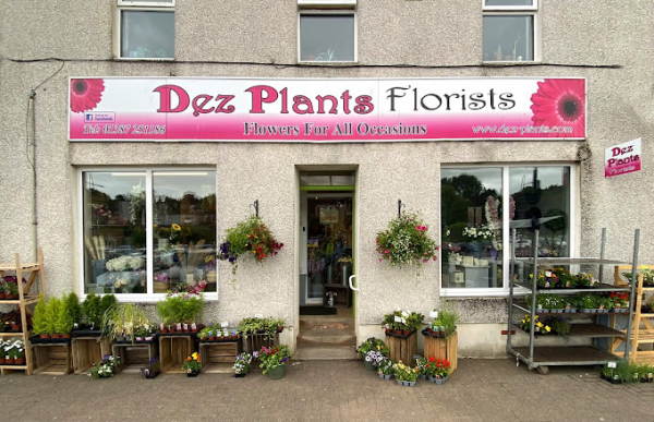 Image of Dez Plants shop front