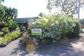 Donelle's, florist in Doolandella