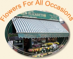 Image of Doreen Elizabeths shop front