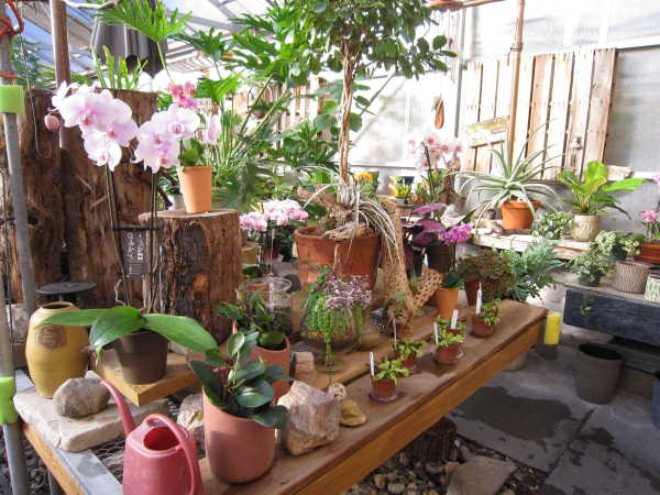Ecker's Flowers and Greenhouses Inc.