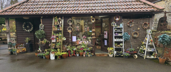 Edwinas Flowers