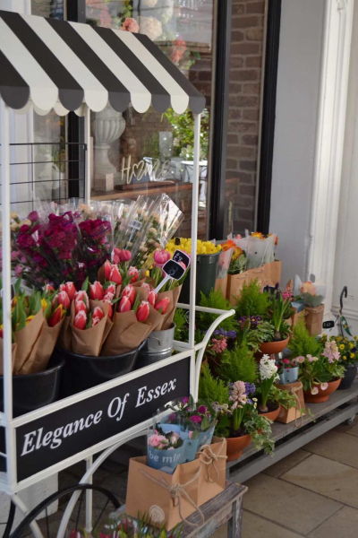 Image of Elegance of Essex shop front