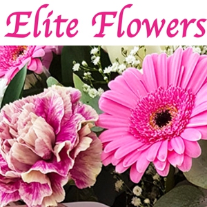Elite Flowers // REMOVED