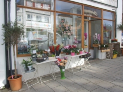 Image of Elsa Brown Flower Style shop front