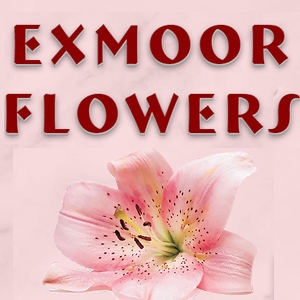 Exmoor Flowers
