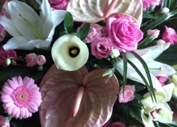Finborough Flower Room
