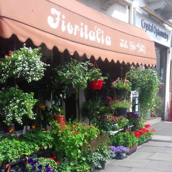 Image of Fioritalia shop front