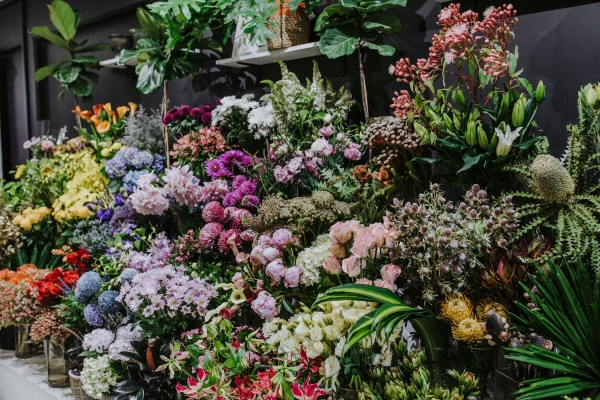 Flamingo Florist, florist in Nowra