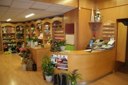 Image of Floradale  shop front