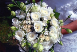 Floral Elegance