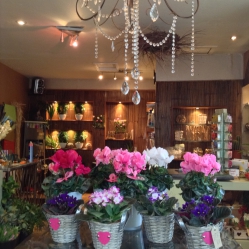 Image of Floral Haven shop front
