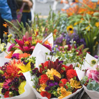 Flowers By Lynne at Go Bananas