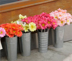 Flowers By Lynne at Go Bananas