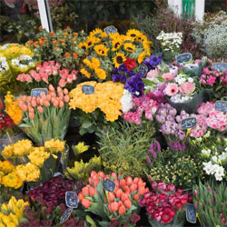 Gerrards Flower Shop