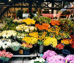 Treez and Flowers