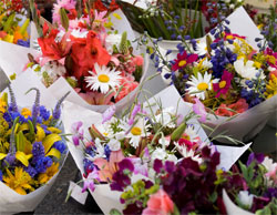 Treez and Flowers