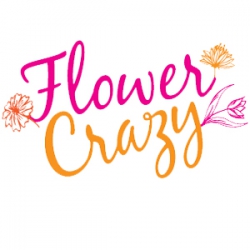 Image of Flower Crazy shop front