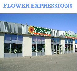 Flower Expressions // removed