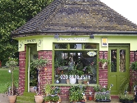 Flower Haven // REMOVED