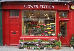 Flower Station / Removed