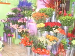 Flowers at 291 // REMOVED
