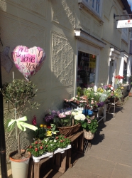 Image of Flowers By Crazy Daisy shop front