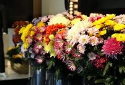 Image of Flowers By Dorothy shop front