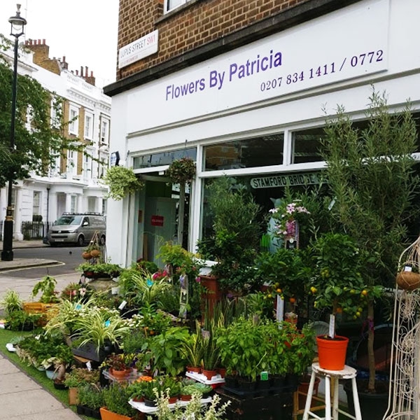 Flowers By Patricia LTD // REMOVED