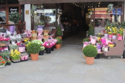 Image of Flowers From Ltd shop front