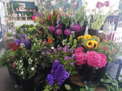 Image of Flowers of Eastbourne shop front