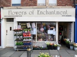 Flowers of Enchantment
