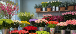 Image of Flowers On Ramarama shop front