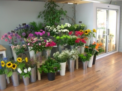 Flowerwise