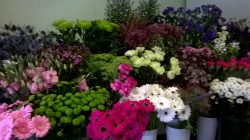 Image of Flowerwise shop front