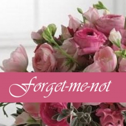 Image of Forget-me-not shop front
