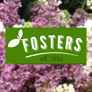 Image of Fosters of Chapel shop front